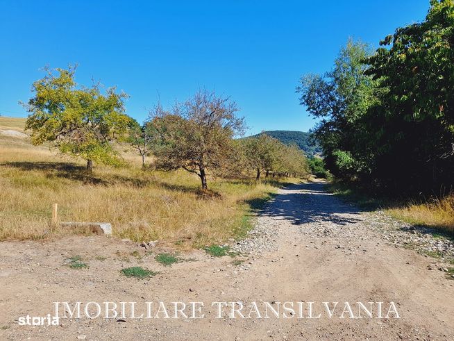 Teren extravilan, Dealul Targului, Bistrita-2