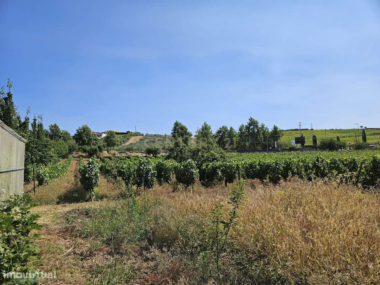 Encantadora Moradia em São João da Pesqueira, Viseu - Grande imagem: 5/53
