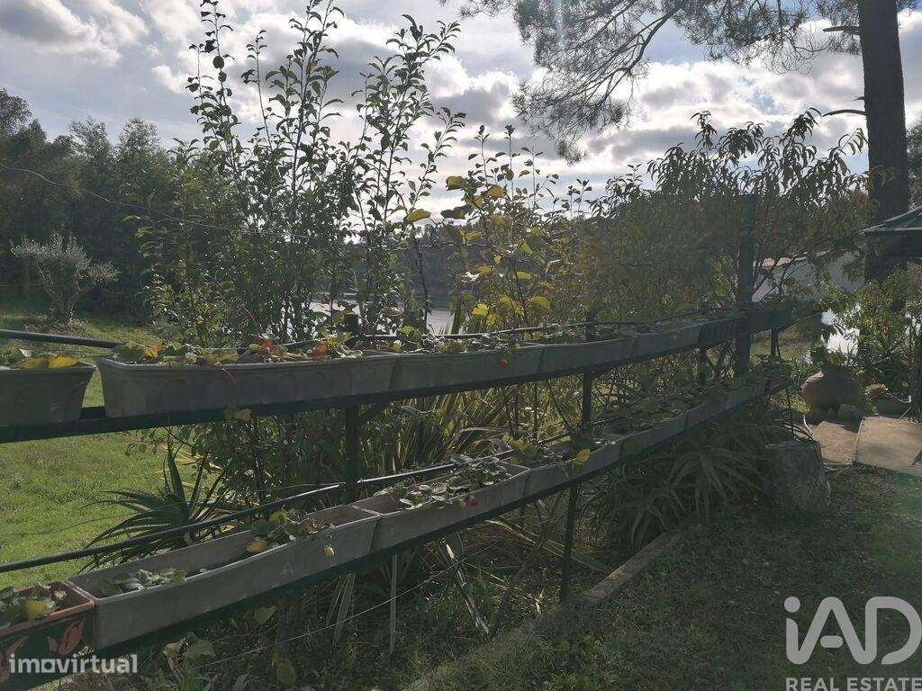 Terreno em Serra e Junceira de 7250,00 m2 - Grande imagem: 5/30