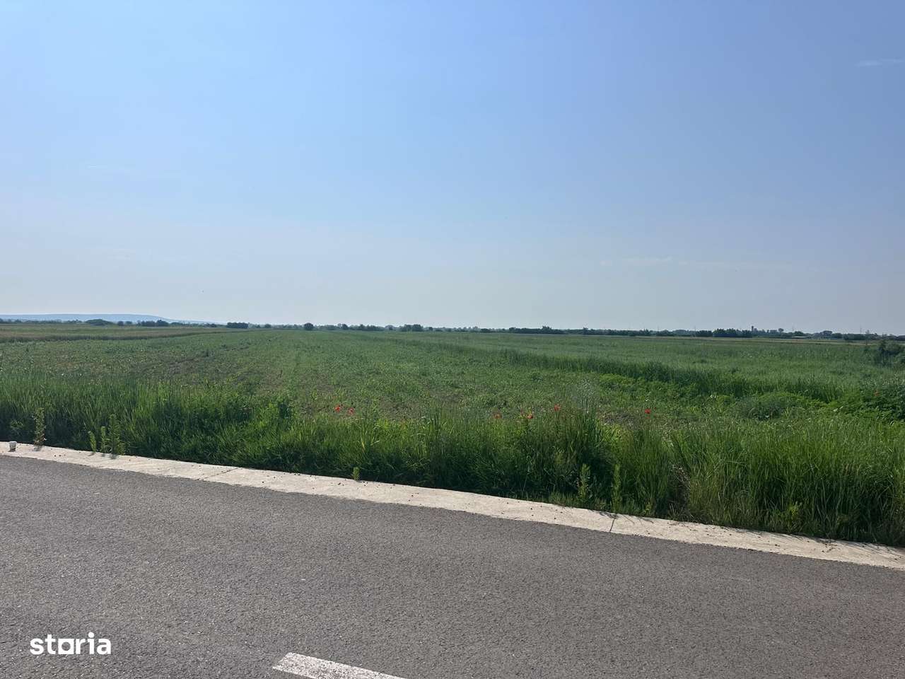 VÂNZARE TEREN MATRACA - Imagine principală: 1/3