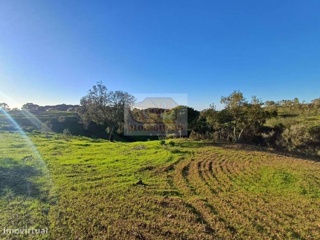 Pronto a construir - PROJECTO APROVADO e vista mar-5