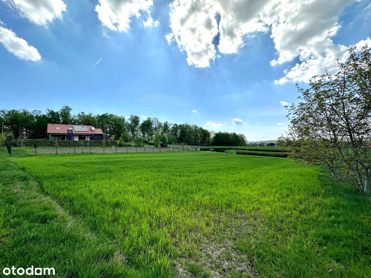 Działka pod lasem | doprowadzony wodociąg-1