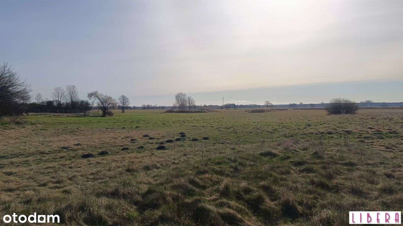 Tylko u nas! Dzialka bydowlana, Januszkowo-7