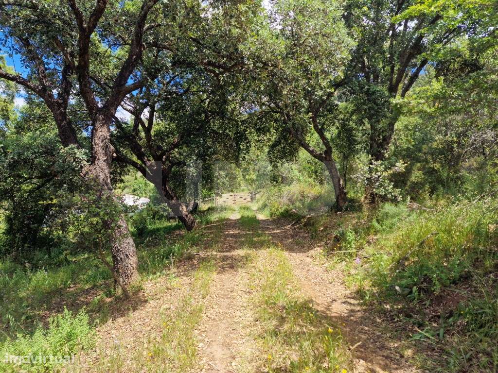 Quinta Serra d´Ossa com 6 habitações-45