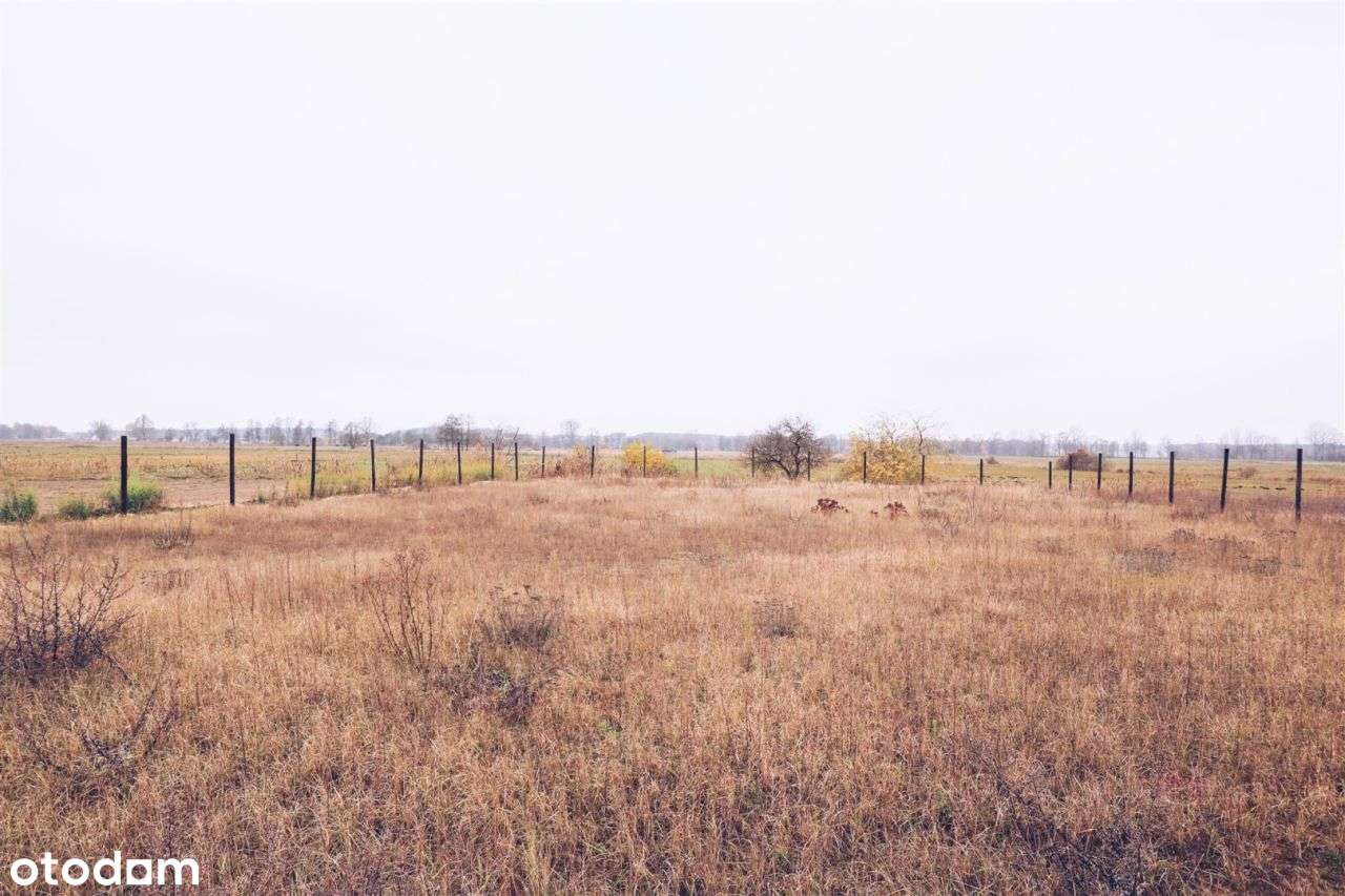 Spełnij marzenie o domu blisko lasu i wody! - Pełny obrazek: 5/5