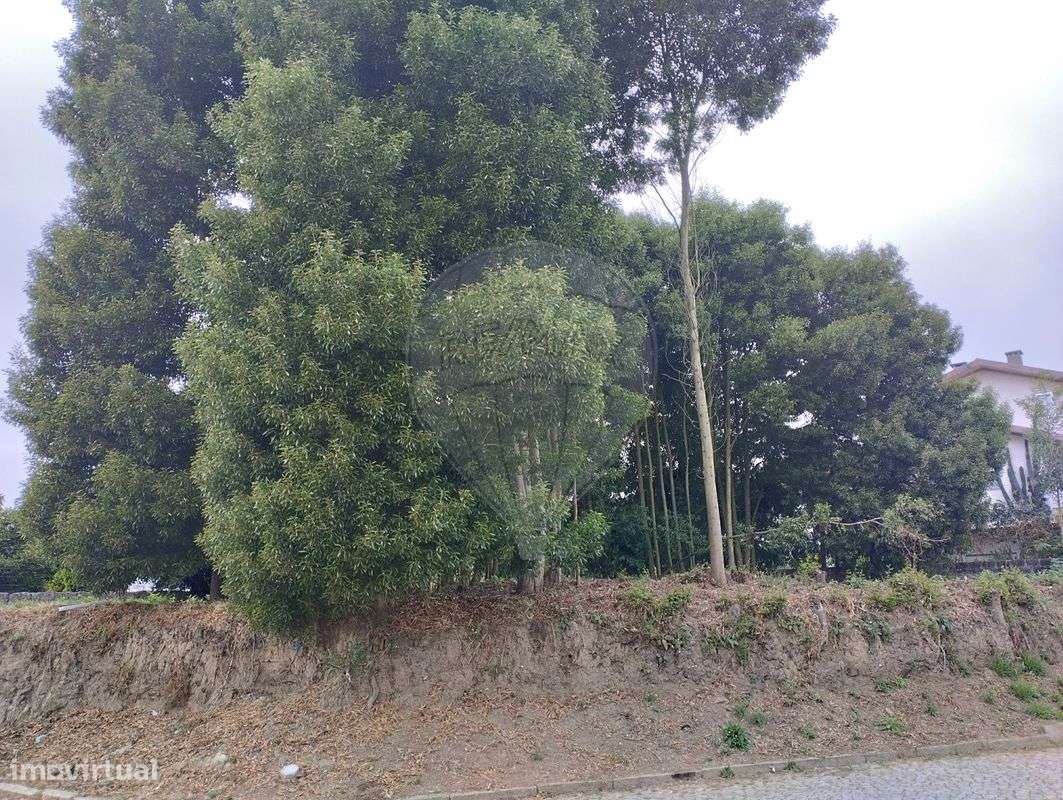 Terreno  para venda - Grande imagem: 3/5