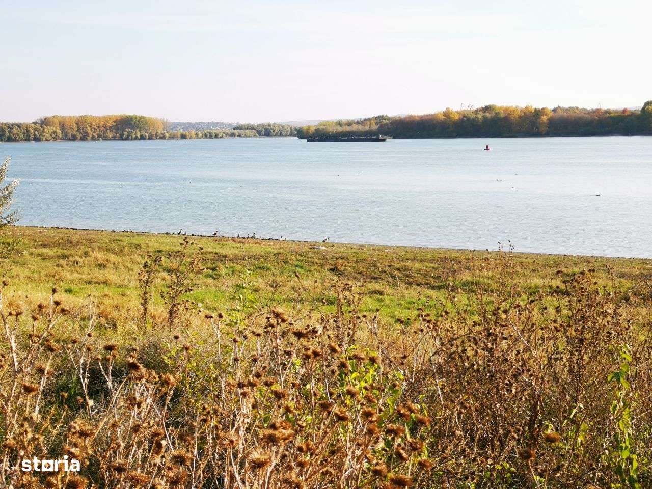 Vand 20.000 mp Delta-Tudor Vladimirescu - Imagine principală: 1/7