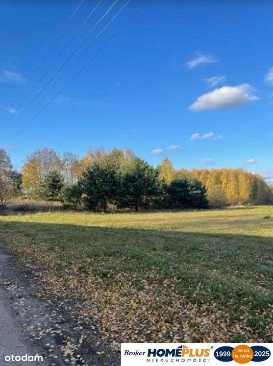 Działka z zabudową jednorodzinną, linia 110 kV - Pełny obrazek: 4/6