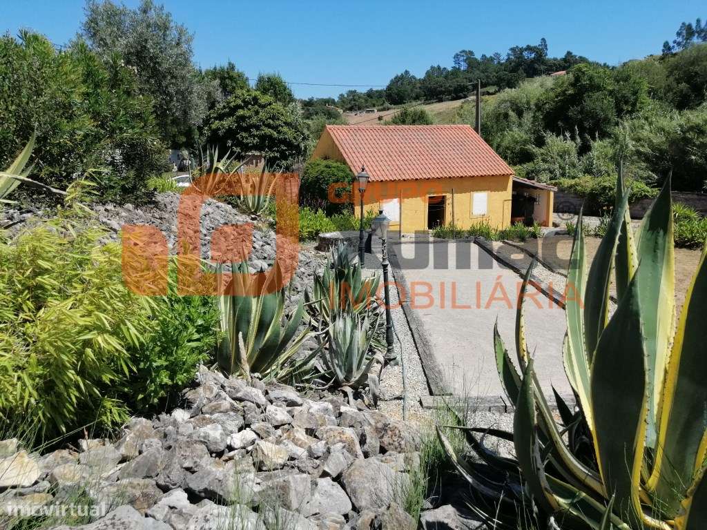 Magnífica propriedade tipo quintinha!!-37