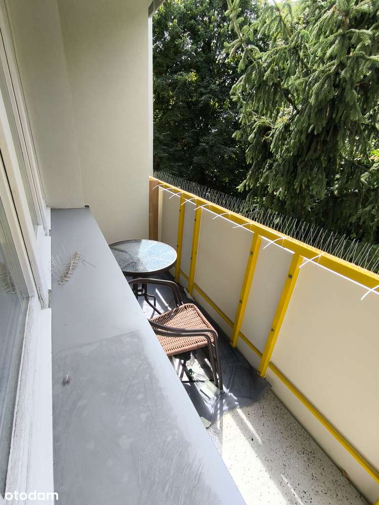 Centrum ul. Grabiszyńska 48m2, Media miejskie, Balkon !!!-15