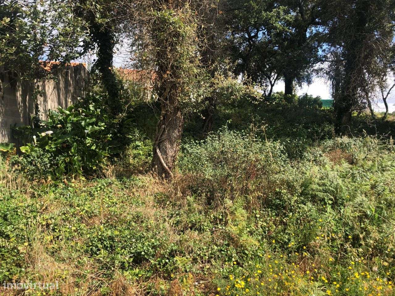 Terreno urbanizável em Ferraria de Pataias-4