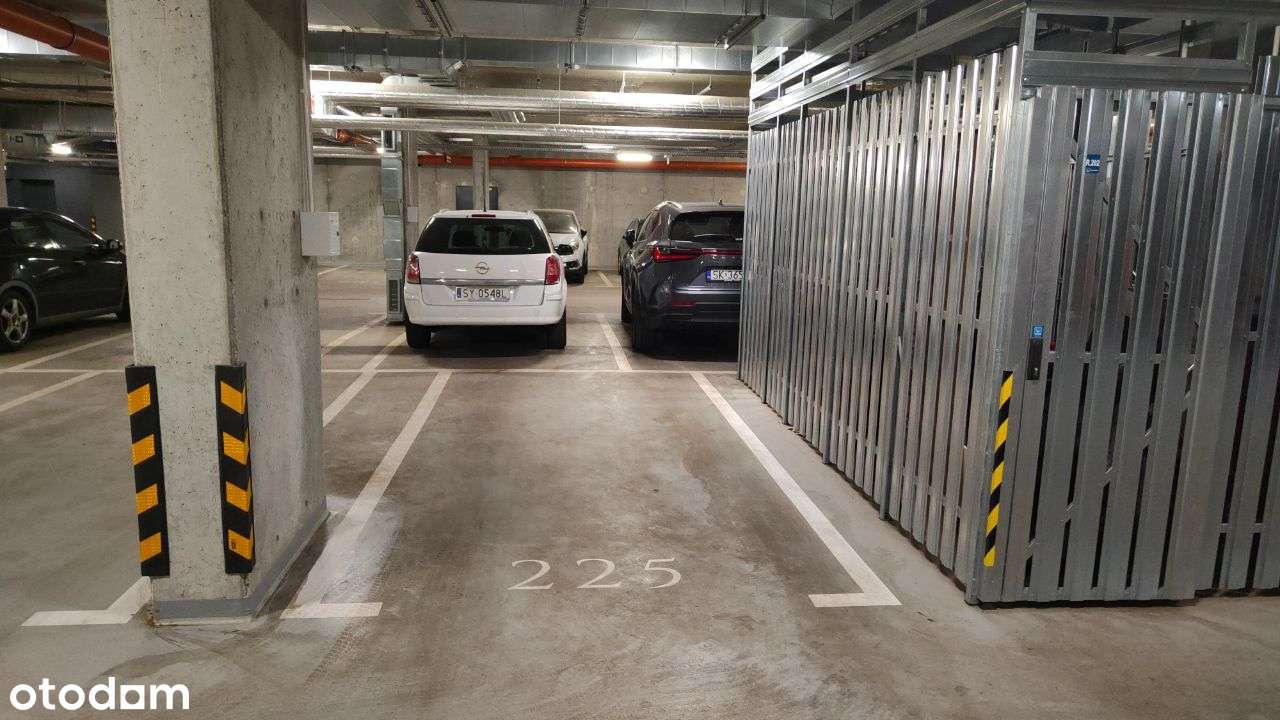 Lokal użytkowy z ogródkiem i miejscem parkingowym - Pełny obrazek: 5/6