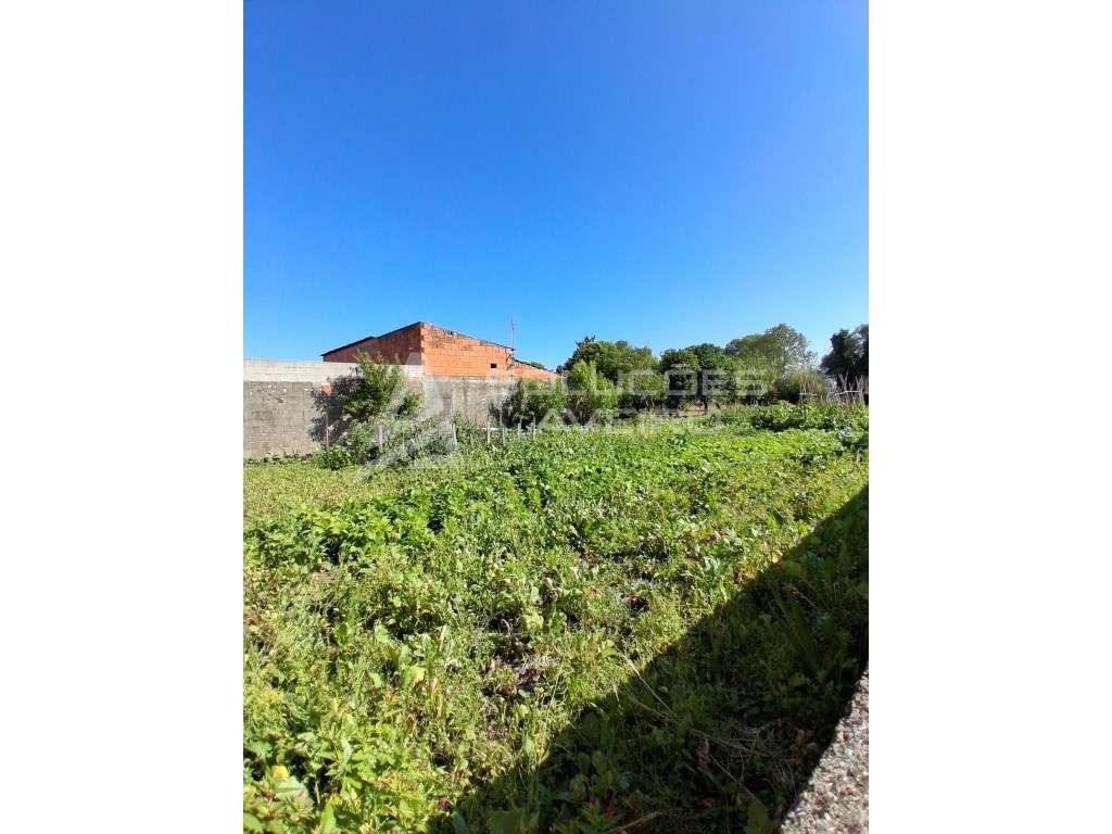 MORADIA T4 PARA REMODELAR EM OLIVEIRINHA A POUCOS MINUTOS DE AVEIRO-6