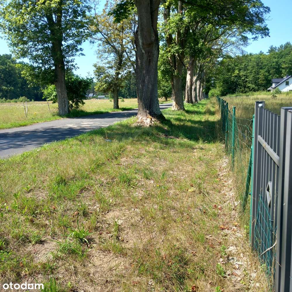 Małe budowlane przy lesie, mediach, asfaltowej drodze i szumie rzeczki-8