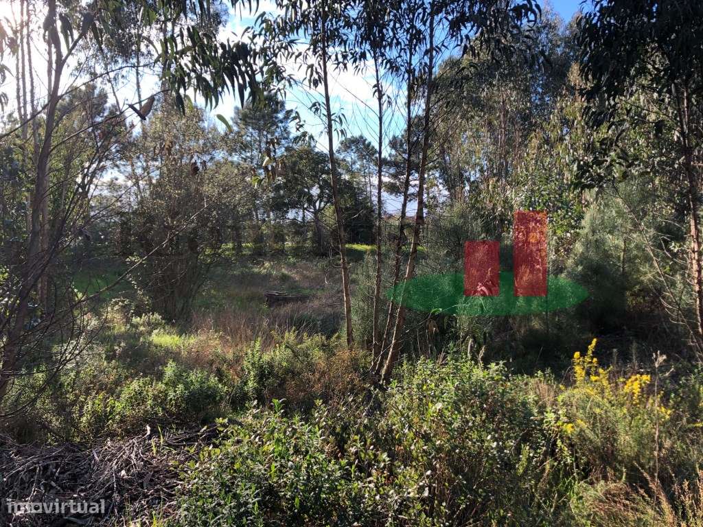 Terrenos com Viabilidade Construtiva em Asseiceira - Rio Maior***RI... - Grande imagem: 5/6