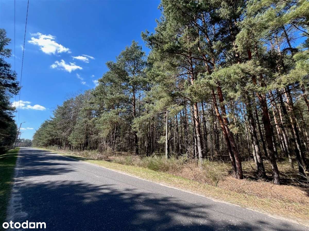 Las i rola 5, 6 - 2,5 ha - Pełny obrazek: 4/9