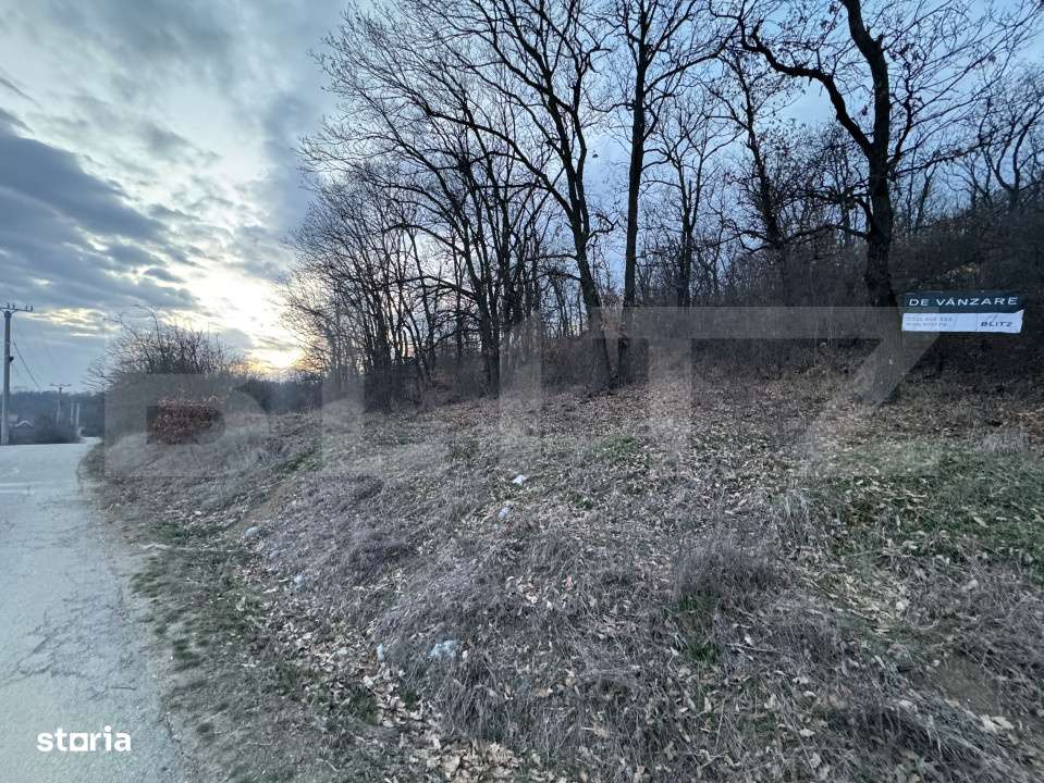 Oportunitate! 5 hectare Padure, Satul de Vacanta, parcelabil, Podari - Imagine principală: 2/5