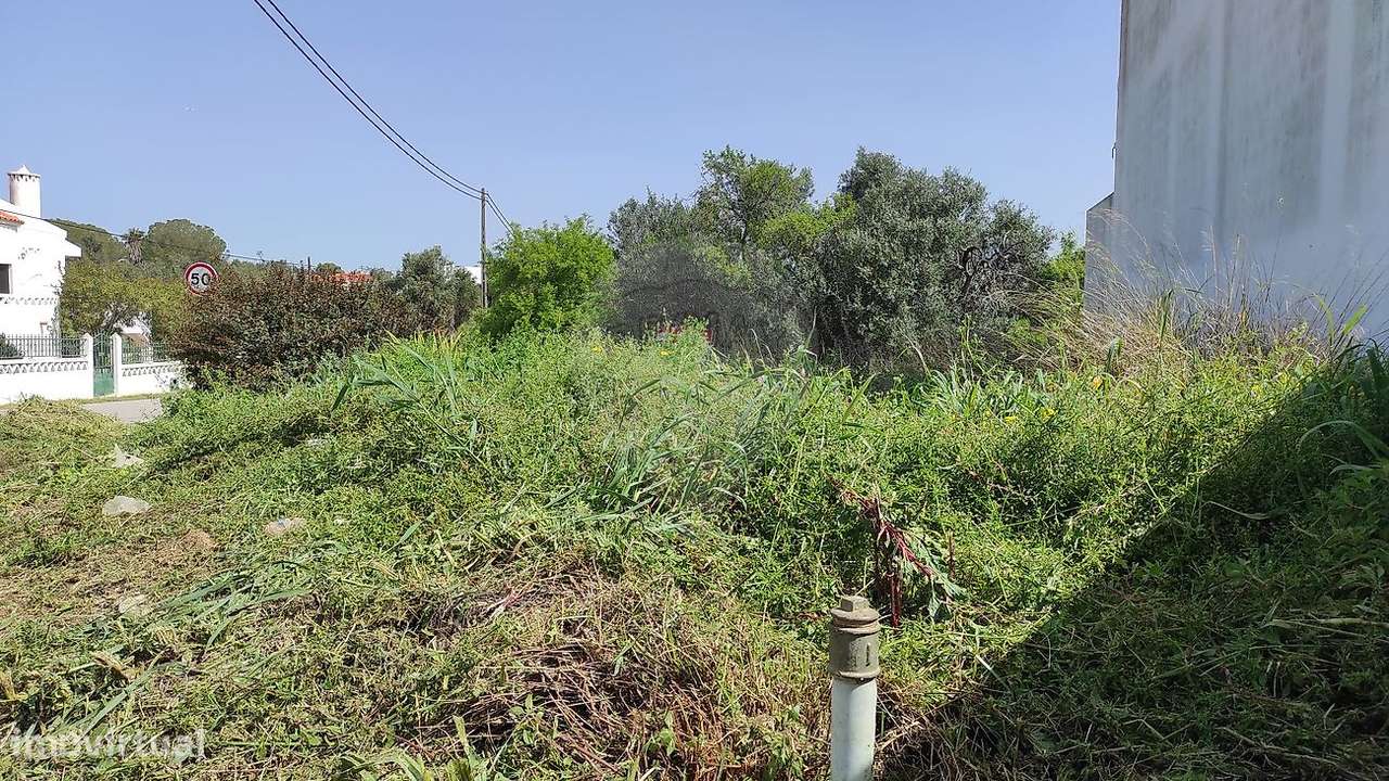 Terreno  para venda - Grande imagem: 3/5