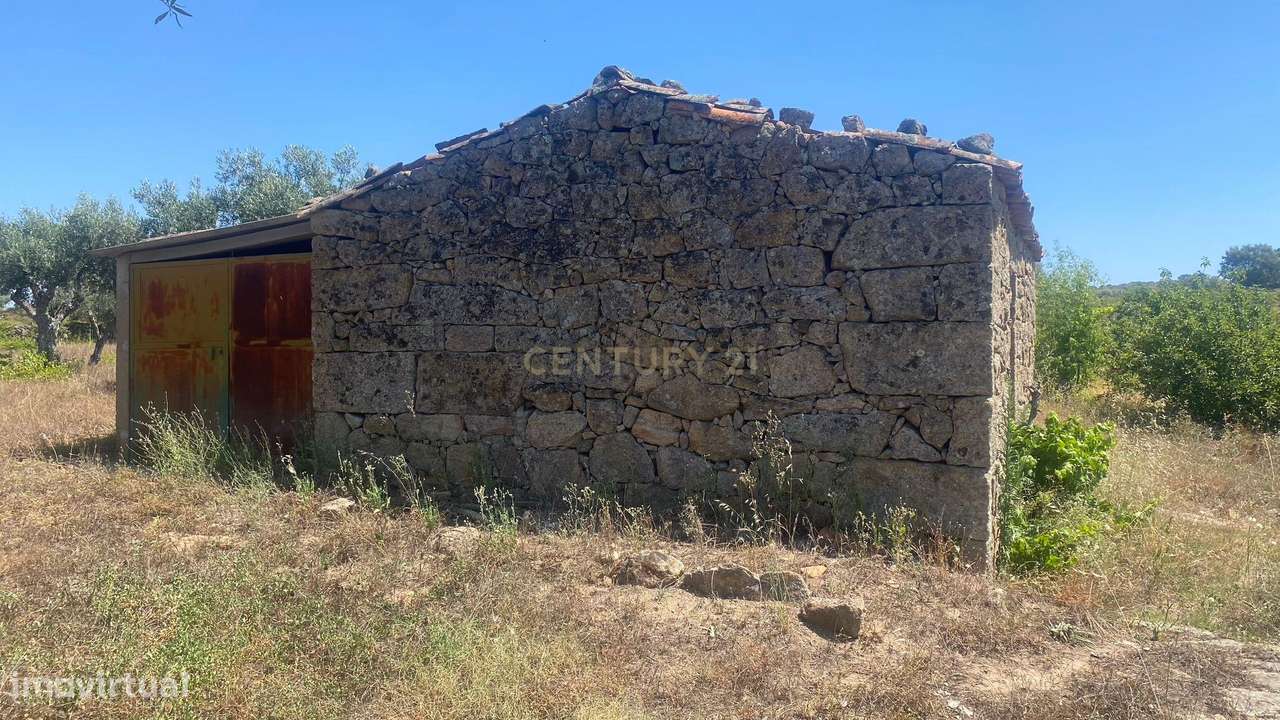 Terreno rústico com casa de xisto, Escalos de Baixo| Castelo Branco - Grande imagem: 4/14