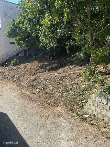 Terreno para estaleiro - Grande imagem: 5/10