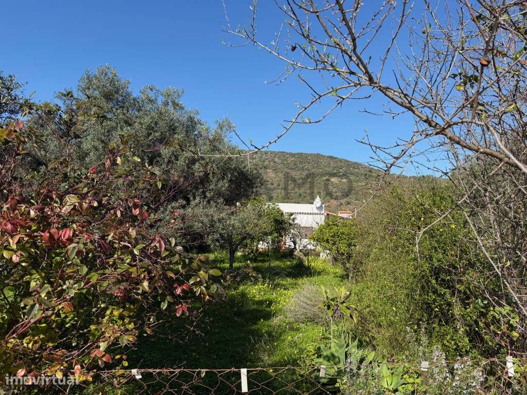 Oportunidade em Salir: Casa com Terreno Amplo e Anexo-9