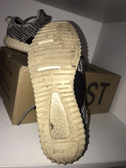 Adidas yezzy turnledove