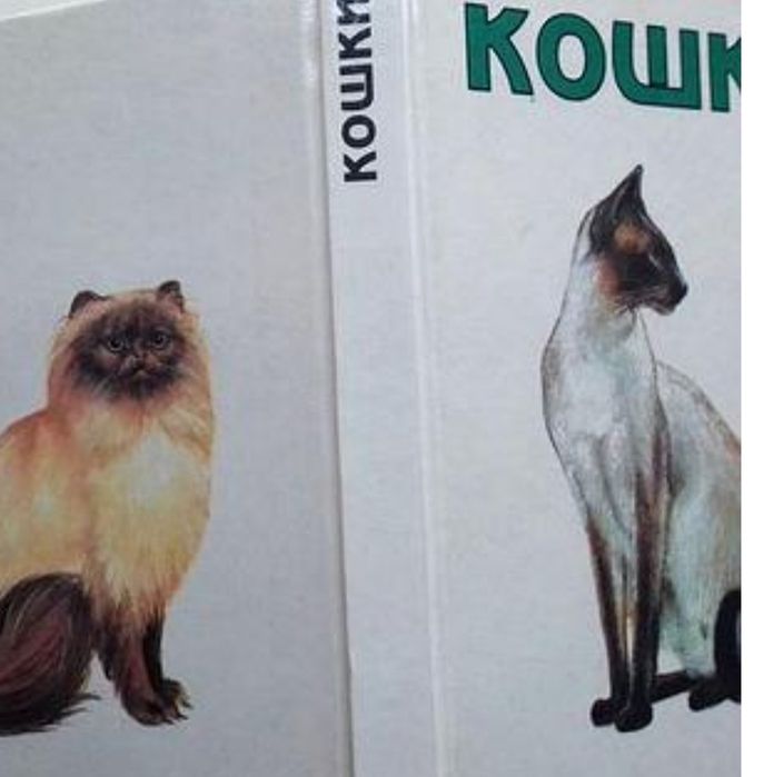 Мини атлас Кошки