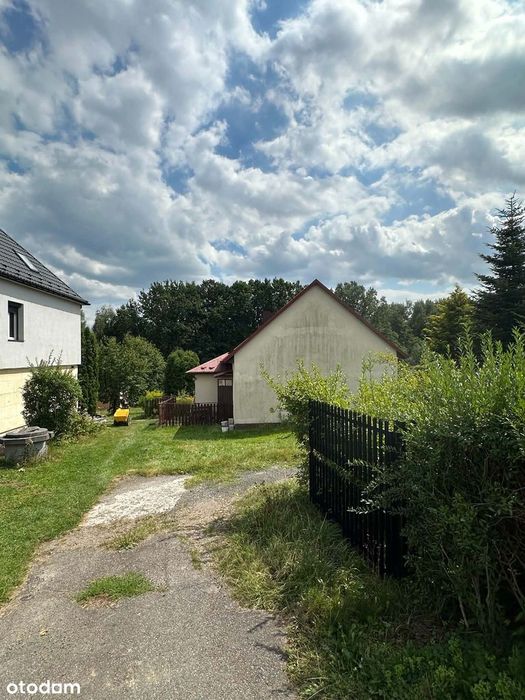 Zdjęcie 7