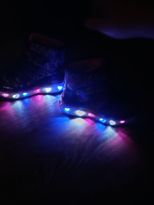 Сапошки дитячі Sketchers