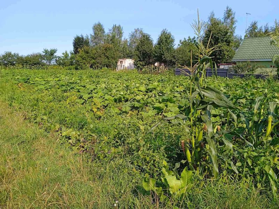 Терміново продам  ділянку під забудову у Сінгурах