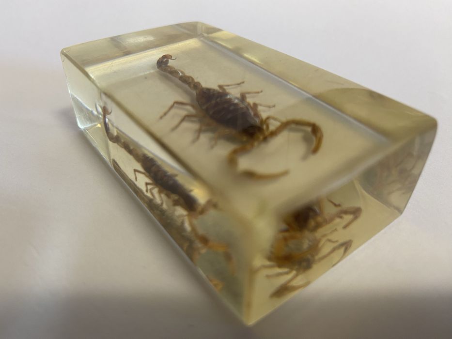Escorpião em resina