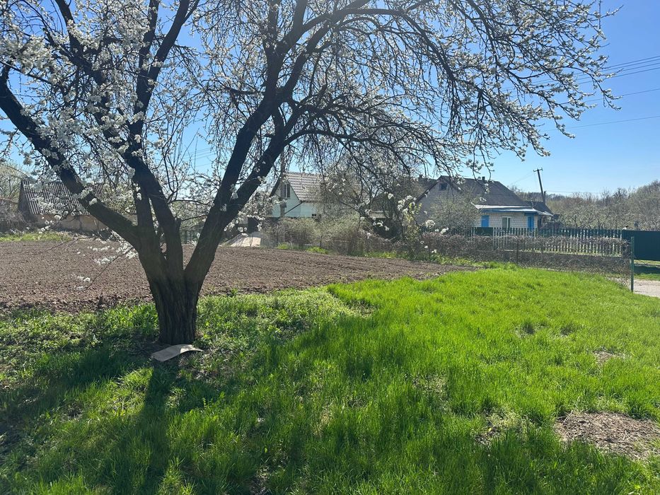 Земельна ділянка в с.Бобриця, Черкаська обл.