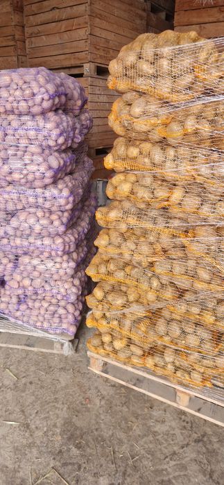 Ziemniaki paszowe, odpadowe, 15 kg worki!