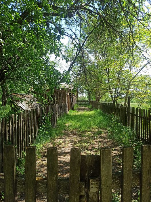 Будинок із землею