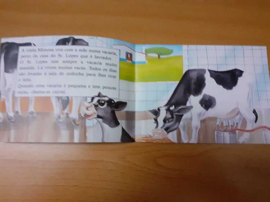 Livro Infantil: Vamos conhecer a Mimosa