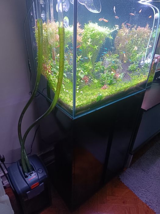 Aquário 160 litros como novo sem um único risco tem um ano, completo.