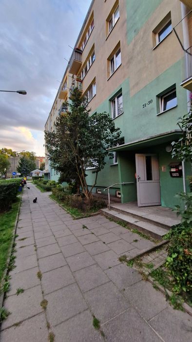 Zdjęcie 8