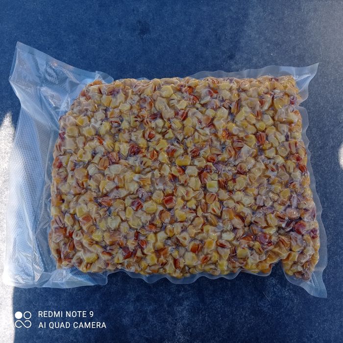 Kukurydza wędkarska gotowana oraz pellet aller i skretting