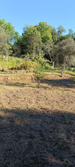 Terreno com 2,500m2 aldeia de santa Margarida castelo branco