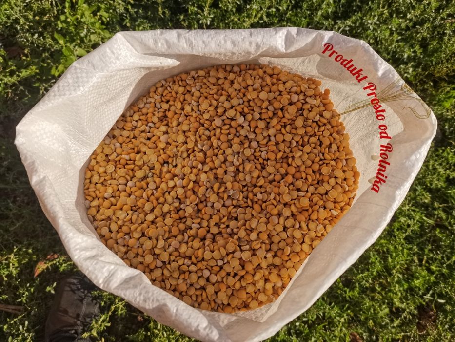 Groch połówki opakowanie 25kg wysyłka natychmiast Inpost