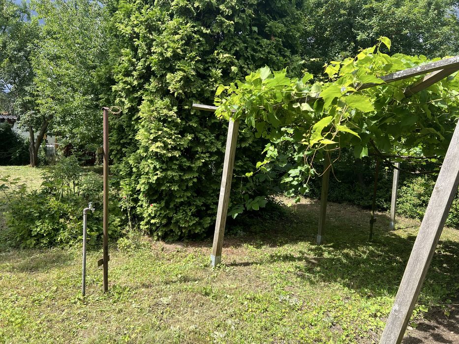 Dzialka pszczelarska