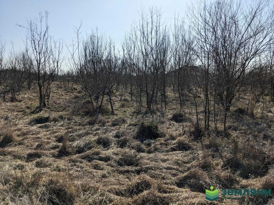 Продаж землі 10 соток під забудову, м.Тисмениця вул. М.Погідної (5)