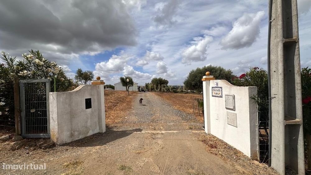 Quinta em Trigaches — 1 hectare em comunhão com a natureza