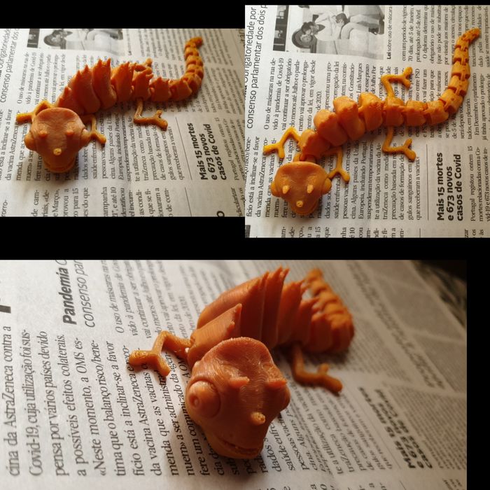 Animais articulados - Tubarao / Tubarao Martelo / Polvo / Camaleao