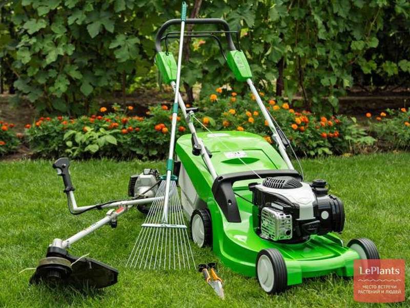 Обрізка дерев,догляд за ділянкою, с.Пухівка, керуючий інженер