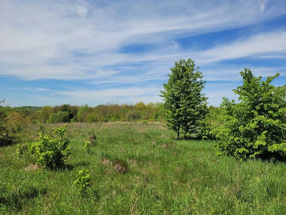 Земельна ділянка в с.Колодіївці. вул.Л.Українки. 25 сот.