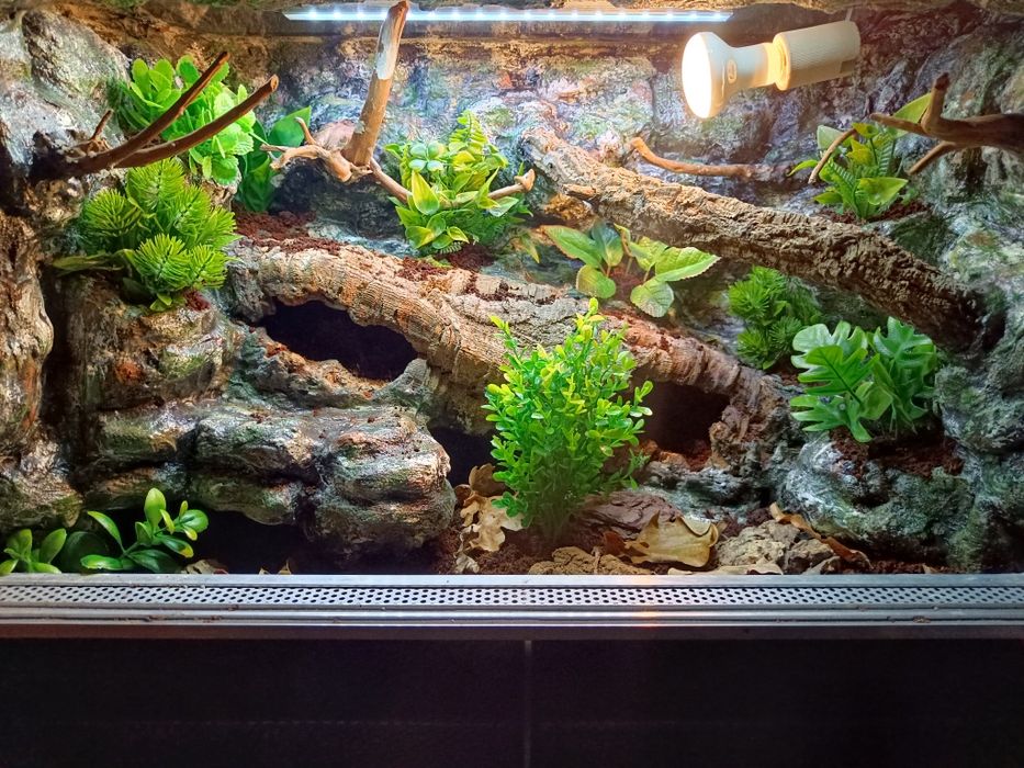 Terrarium tropikalne dla gekon 60x40x40