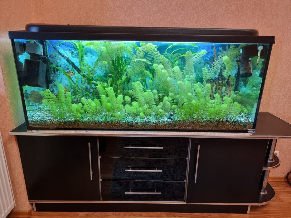 Акваріум з тумбою, цілий комплект, 2 фільтра, обігрівач, грунт, риби.