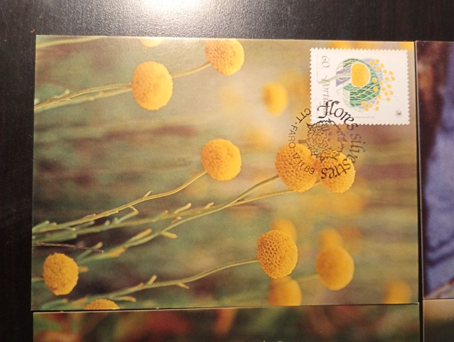 Serie completa de 4 Postais. Máximos. Novos	1989 - Flores Silvestres