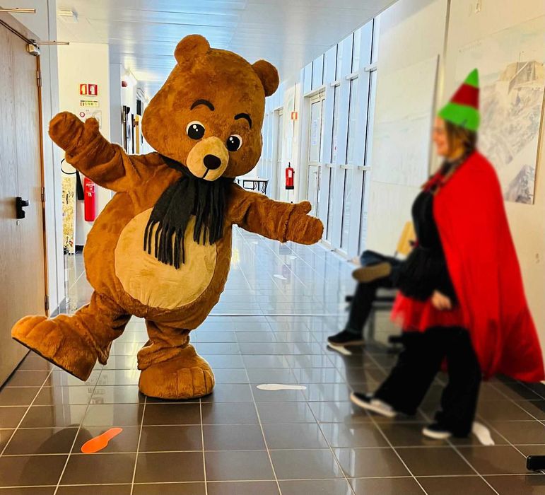 Mascote Urso - Para festas ou Eventos